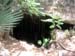 E - Tag Vier 23.7. (118)