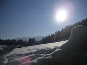 Spitzingsee I (71)