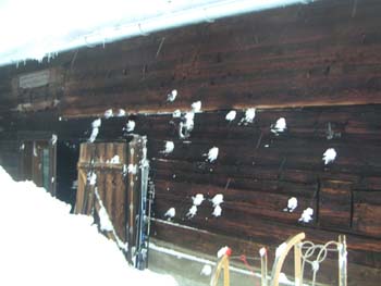Spitzingsee II (38)